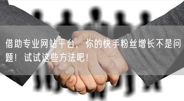 借助专业网站平台,你的快手粉丝增长不是问题!试试这些方法吧!