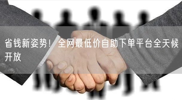 省钱新姿势!全网最低价自助下单平台全天候开放