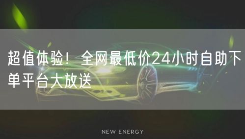 超值体验!全网最低价24小时自助下单平台大放送