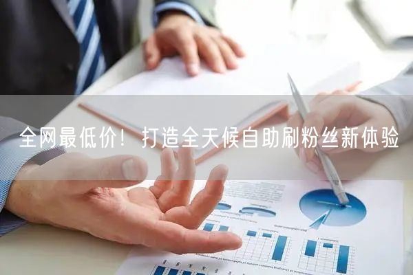 全网最低价!打造全天候自助刷粉丝新体验