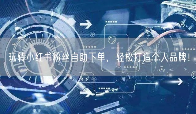 玩转小红书粉丝自助下单,轻松打造个人品牌!
