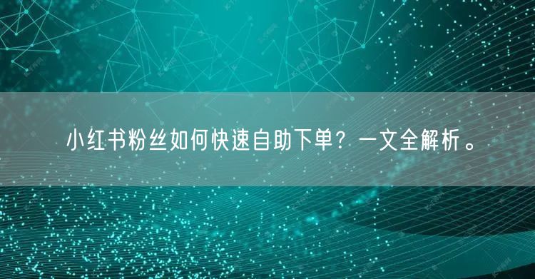 小红书粉丝如何快速自助下单?一文全解析。
